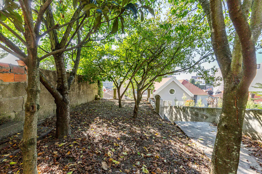 Your Opo Vintage Apartments