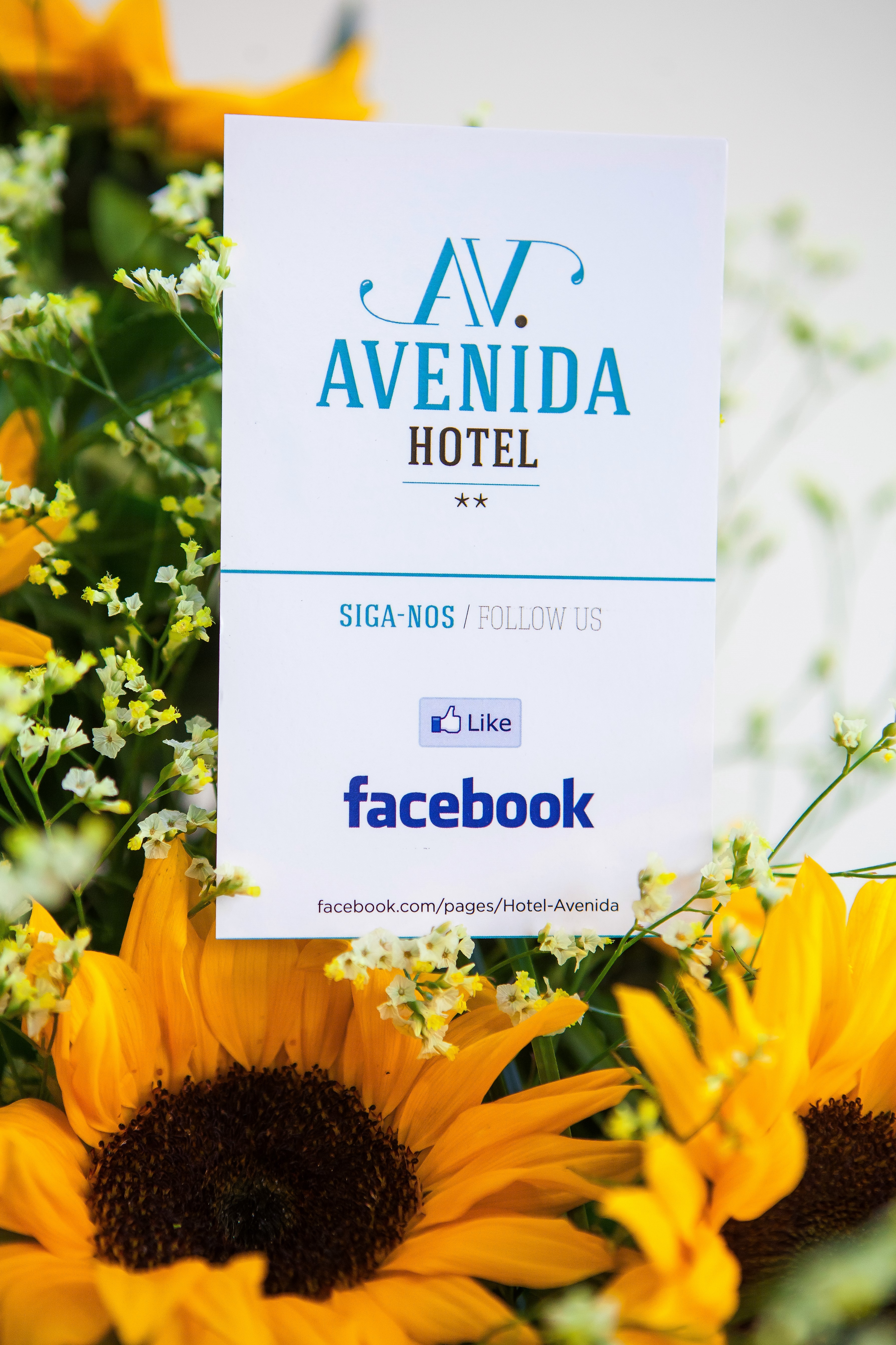 Hotel Avenida