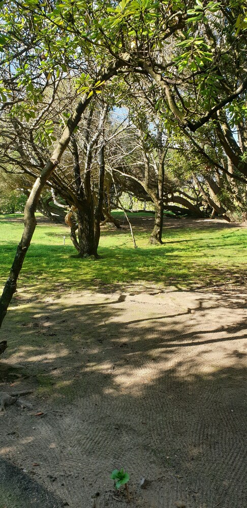 Casa Do Jardim