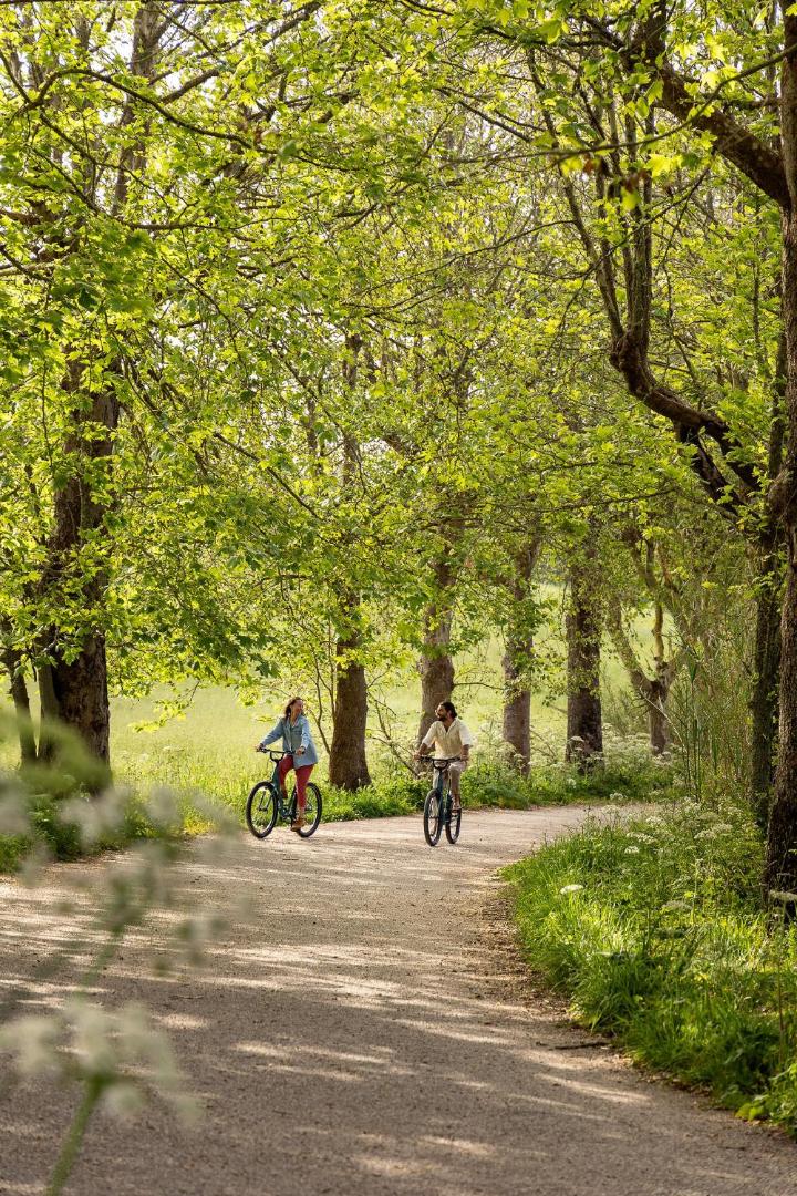 Areias do Seixo Villas