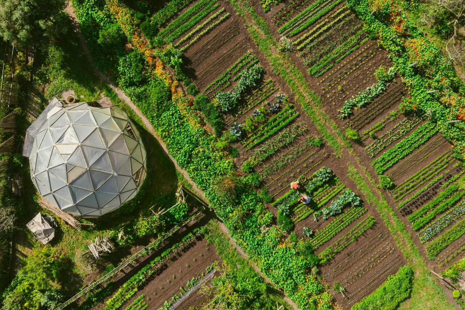 Areias do Seixo Villas