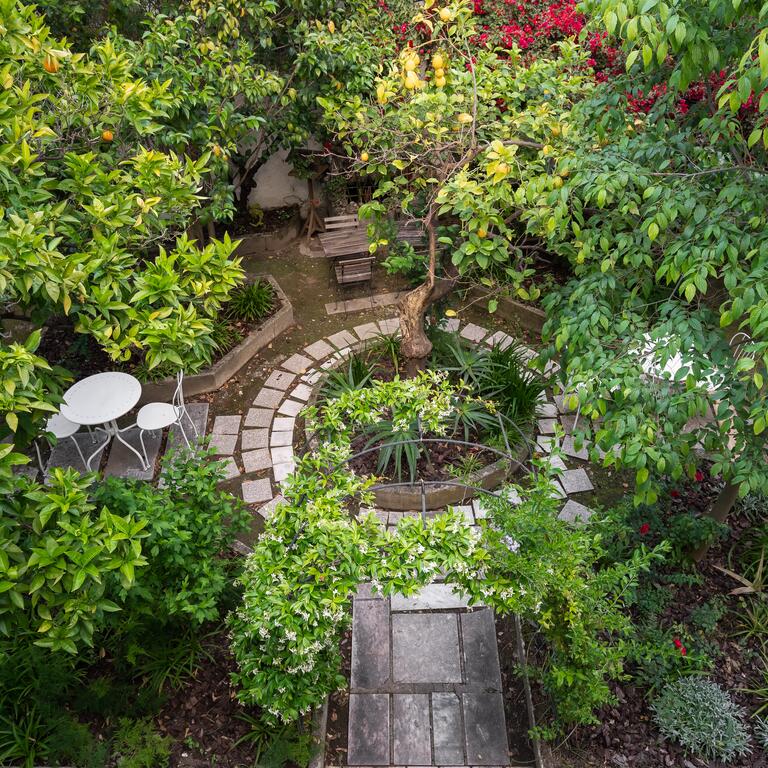 O Jardim Da Tessa
