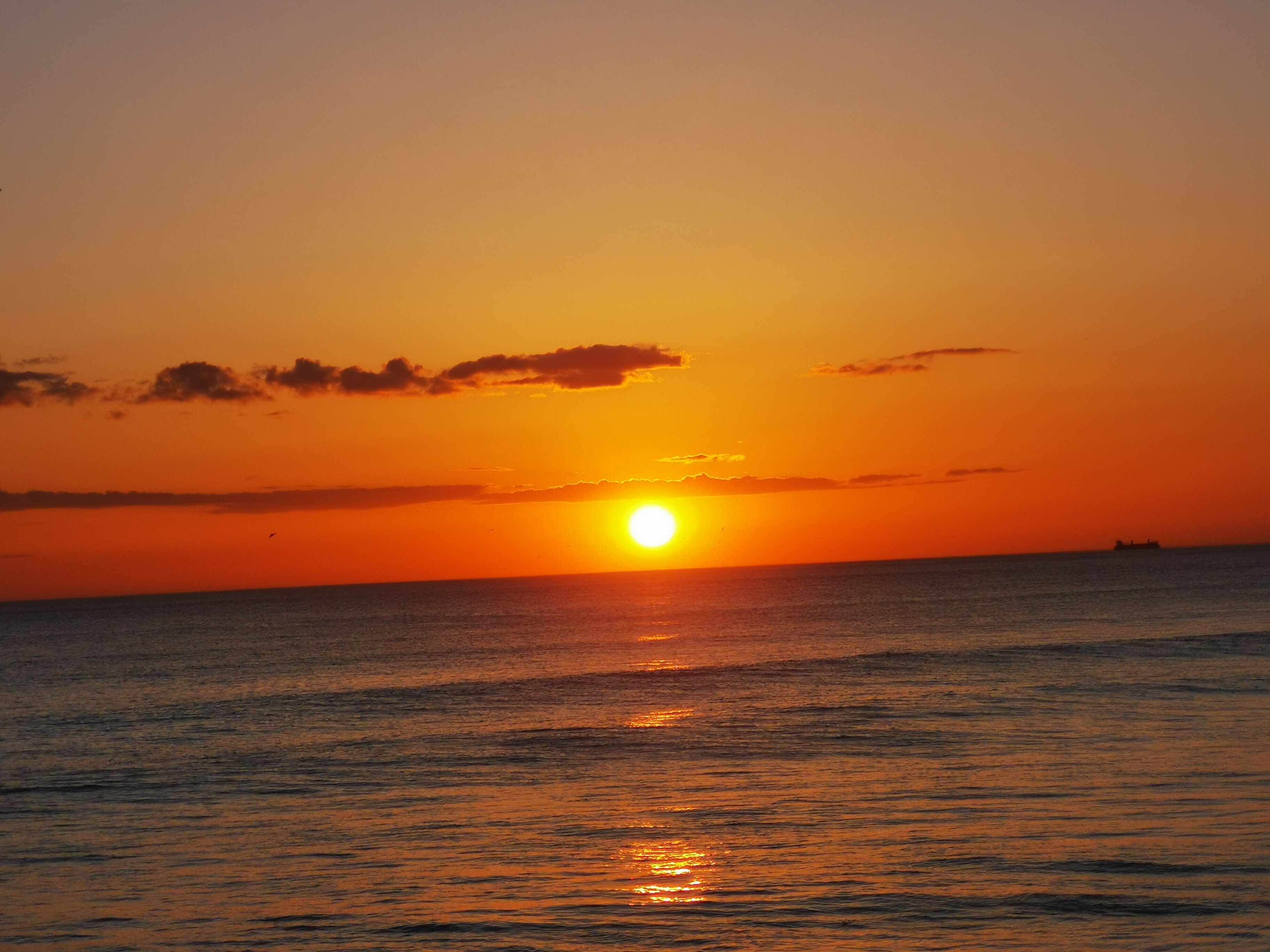 Caparica Poshtel, An Luxury Hostel