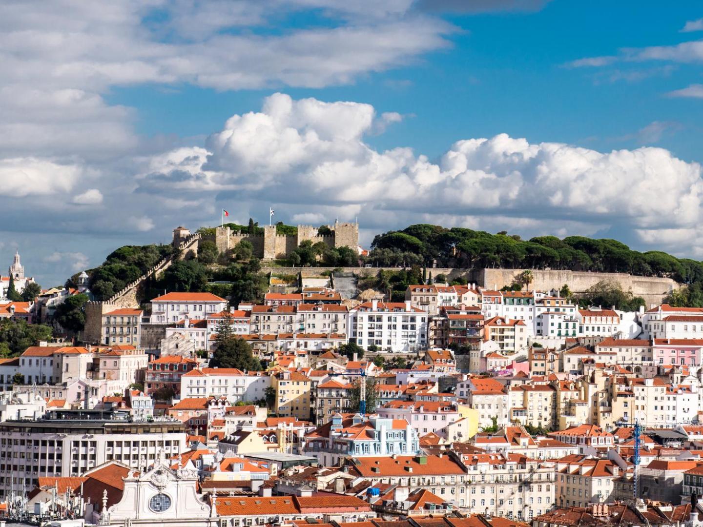Dom Pedro Lisboa