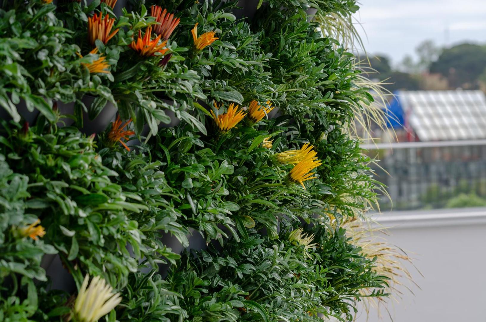 Turim Boulevard Hotel