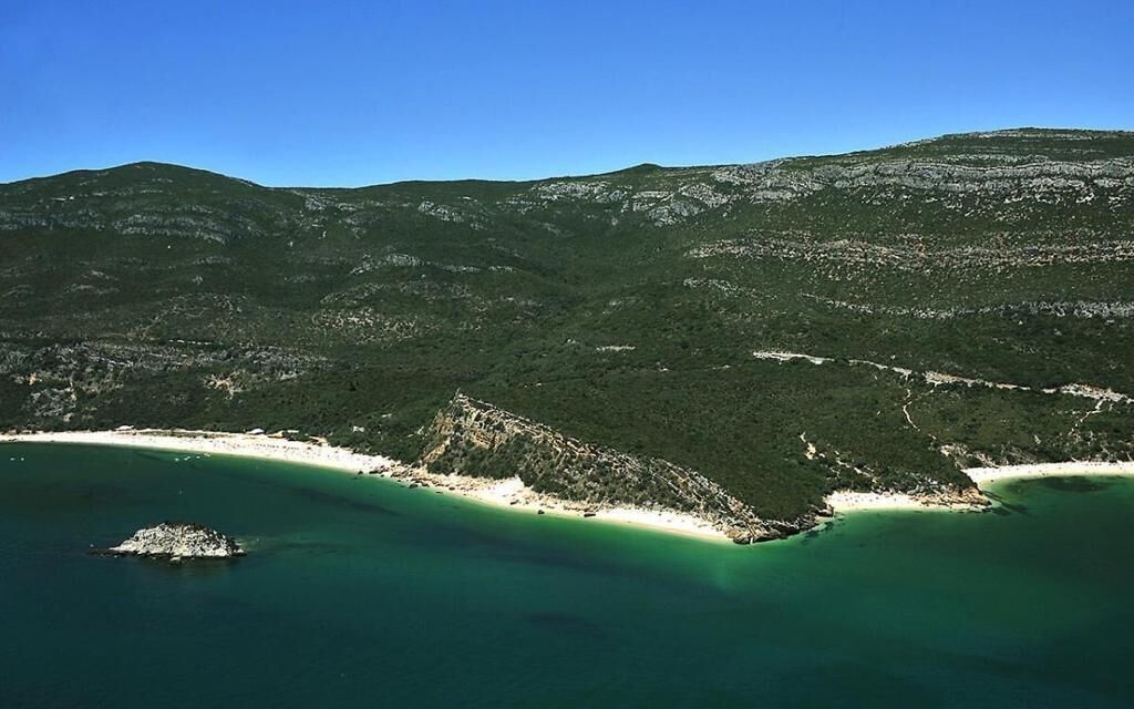 Buganvilia Do Meco