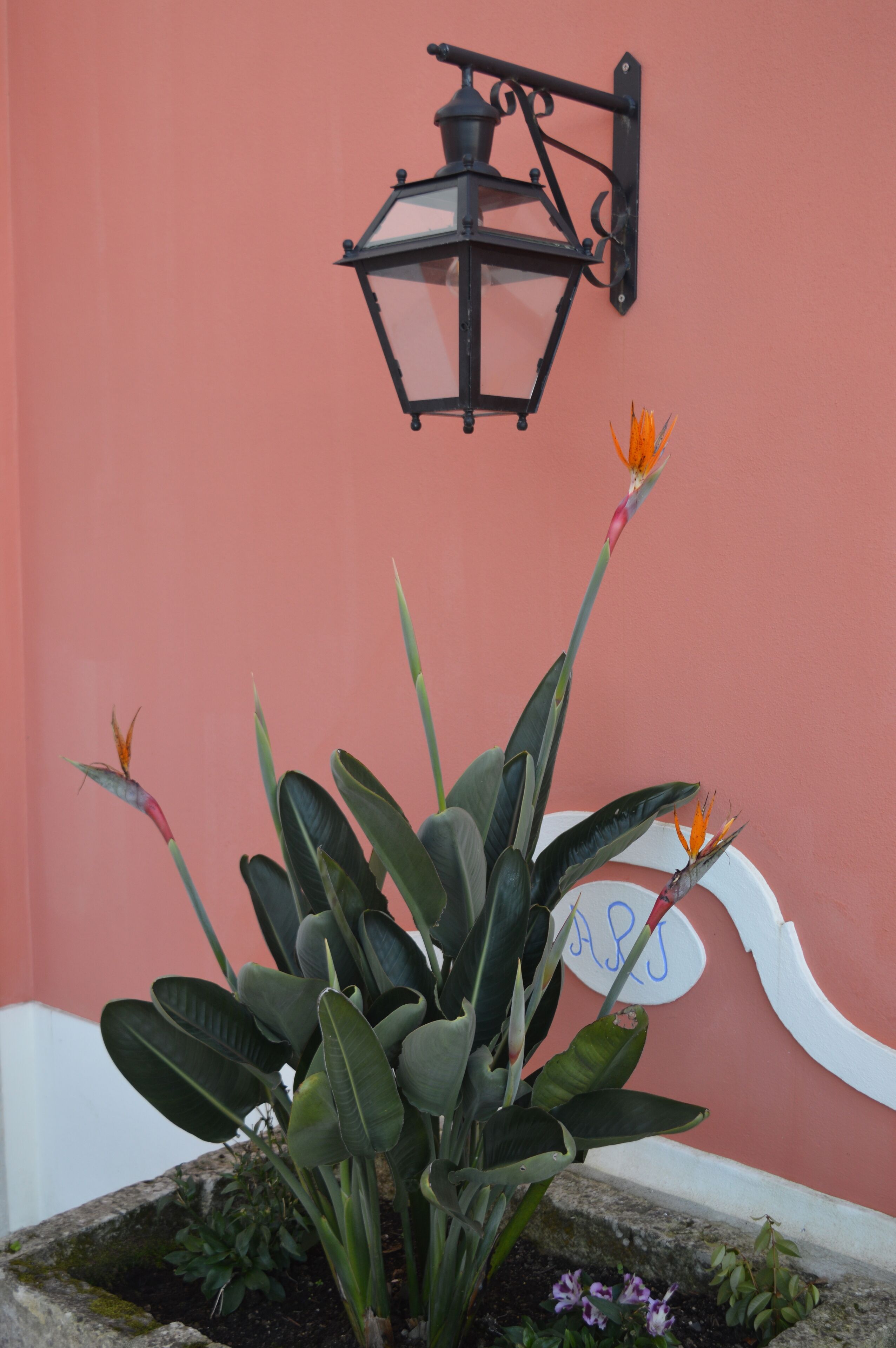 Villa Bela Vista