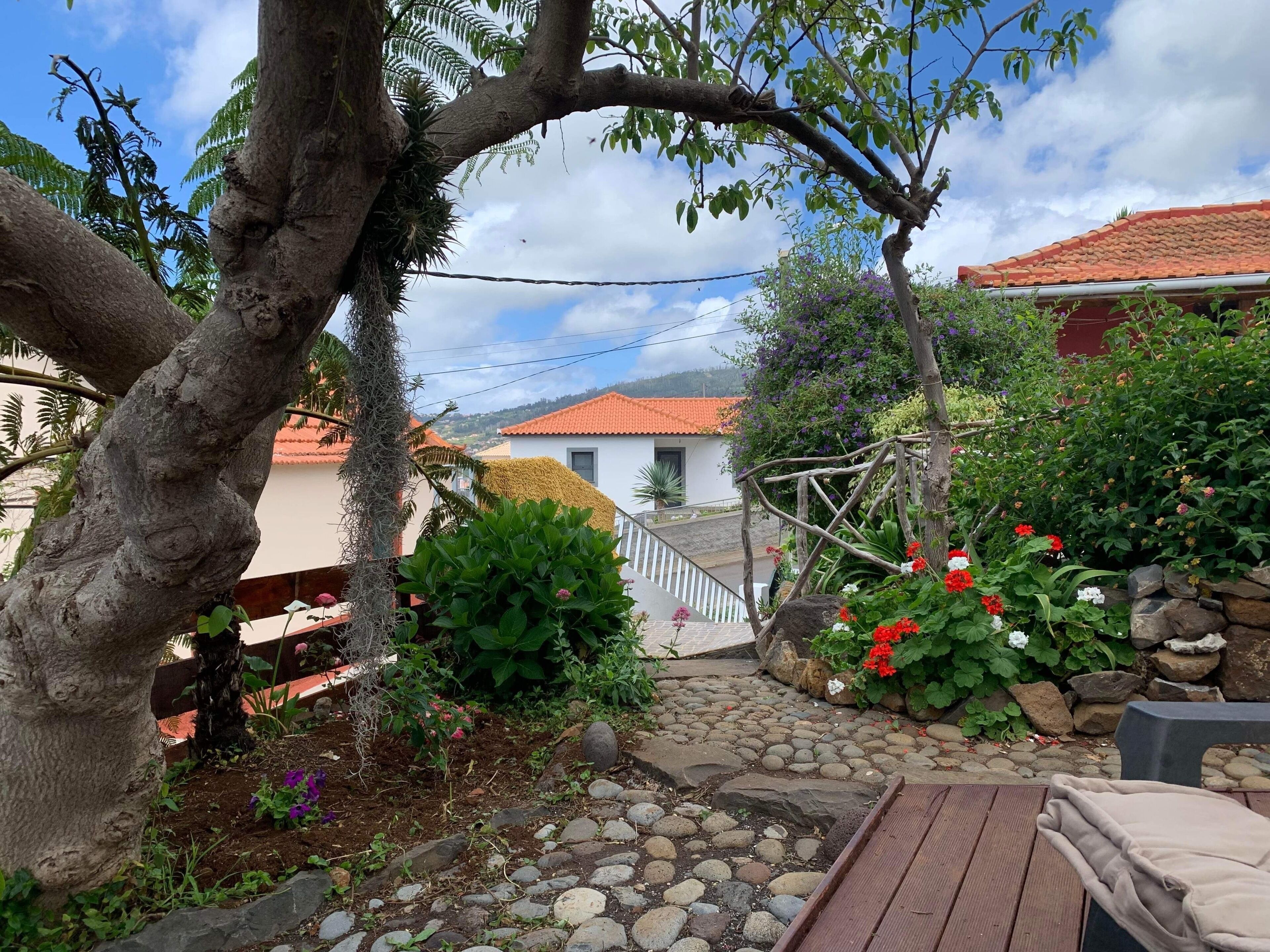Little Norway  Etc Madeira