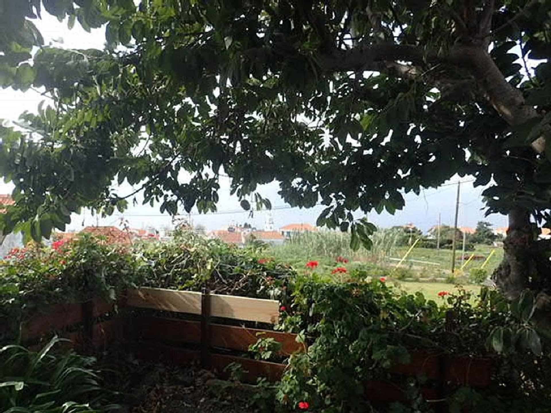 Little Norway  Etc Madeira