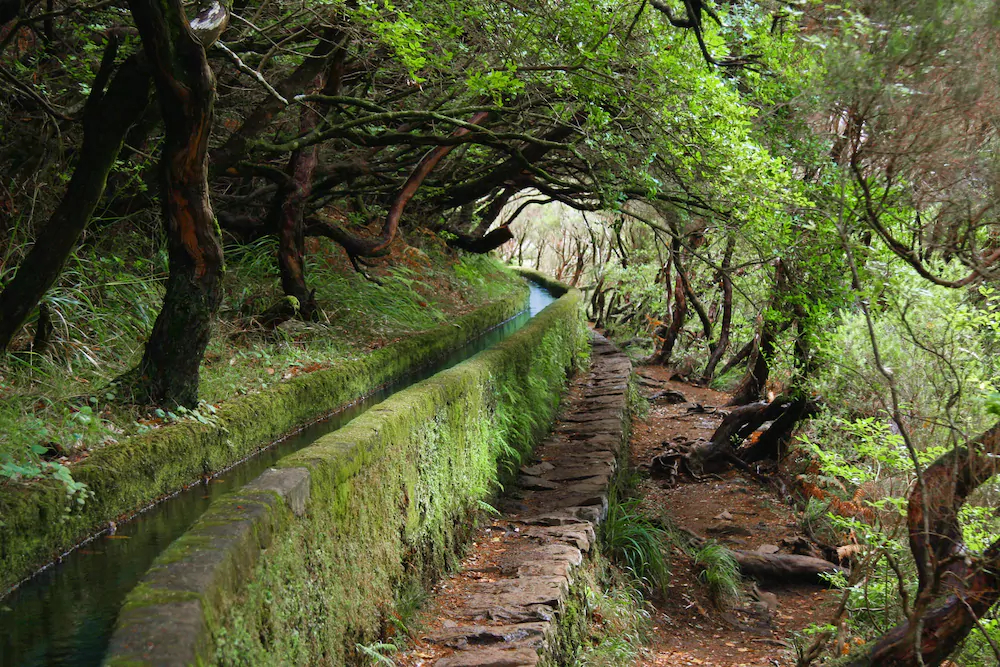 O Meu Sorriso Holiday Houses Calheta