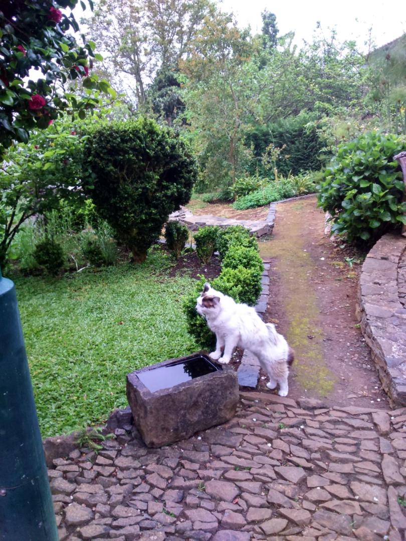 Rural House Casa Rosa