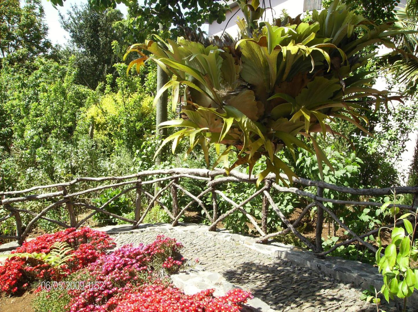 Rural House Casa Rosa
