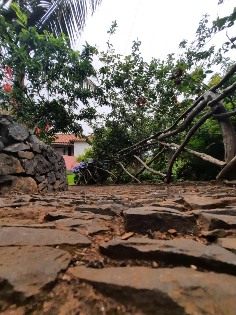 Rural House Casa Rosa