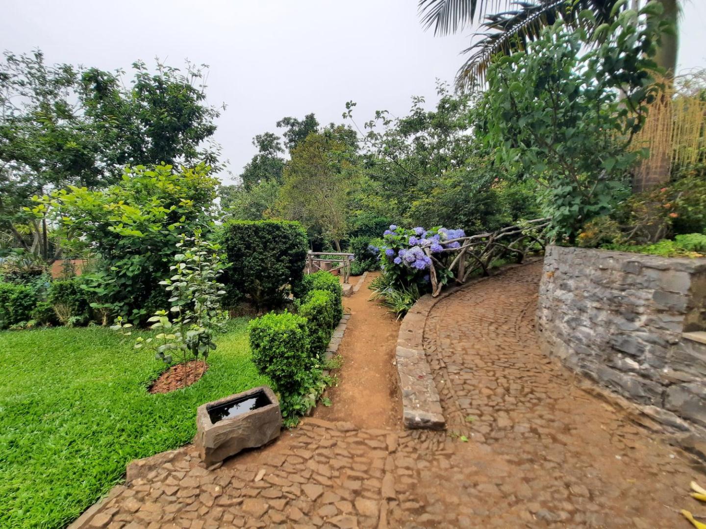 Rural House Casa Rosa