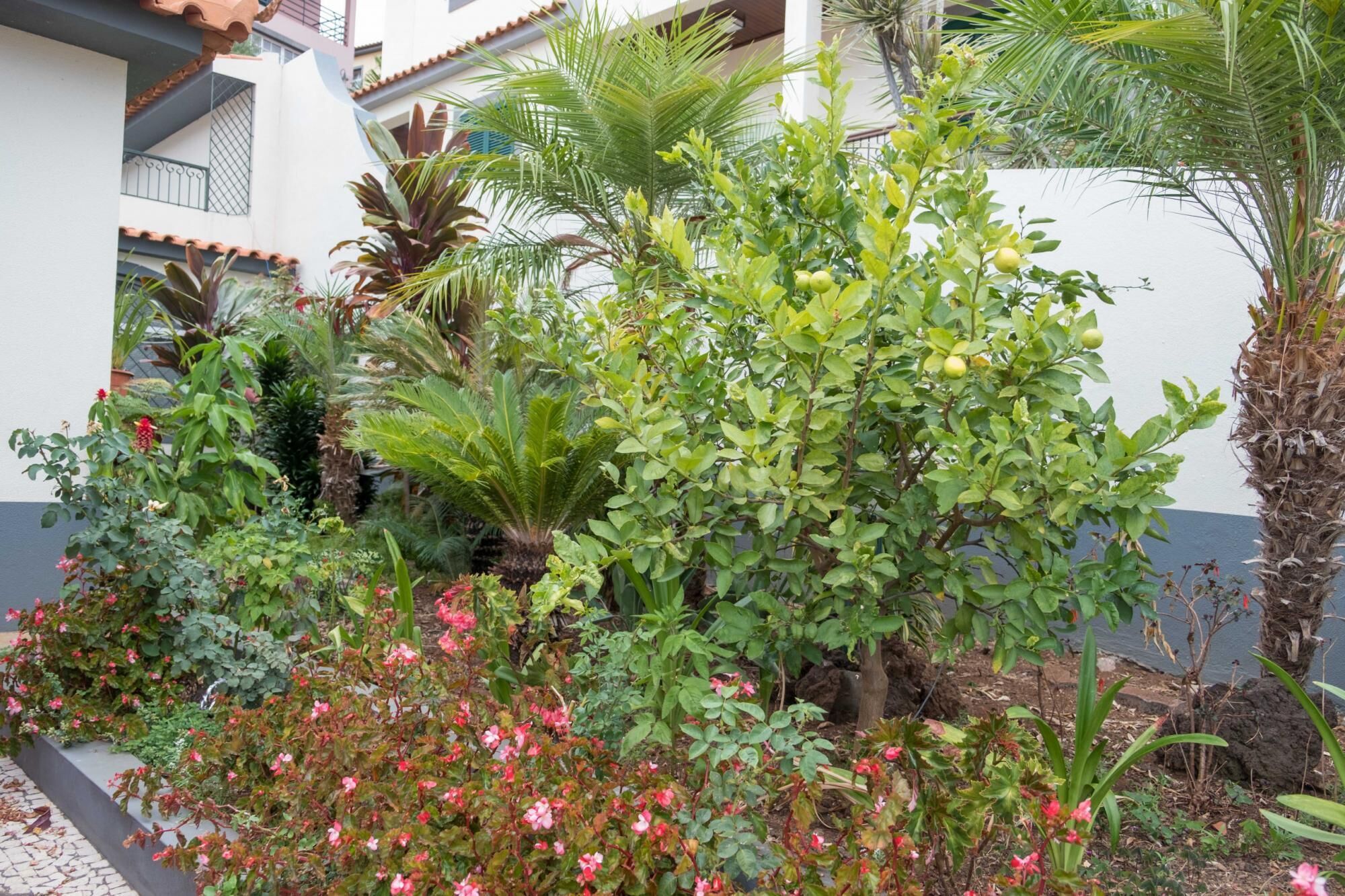 Gem of a House by Madeira Sun Travel