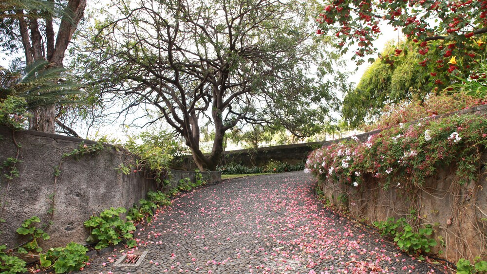 Quinta Das Malvas