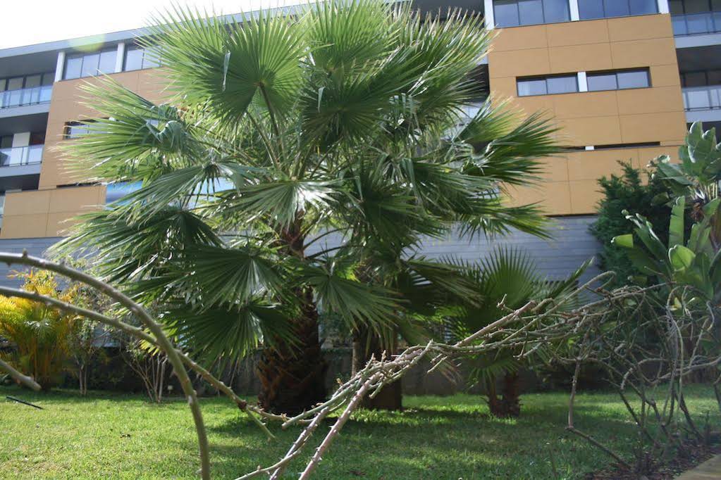 Quinta São João