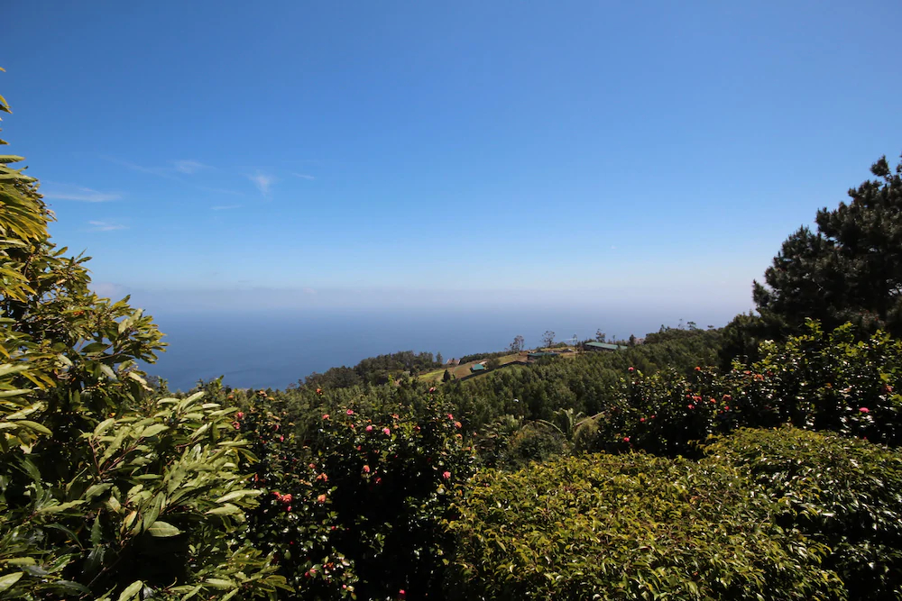 Quinta do Santo by MHM