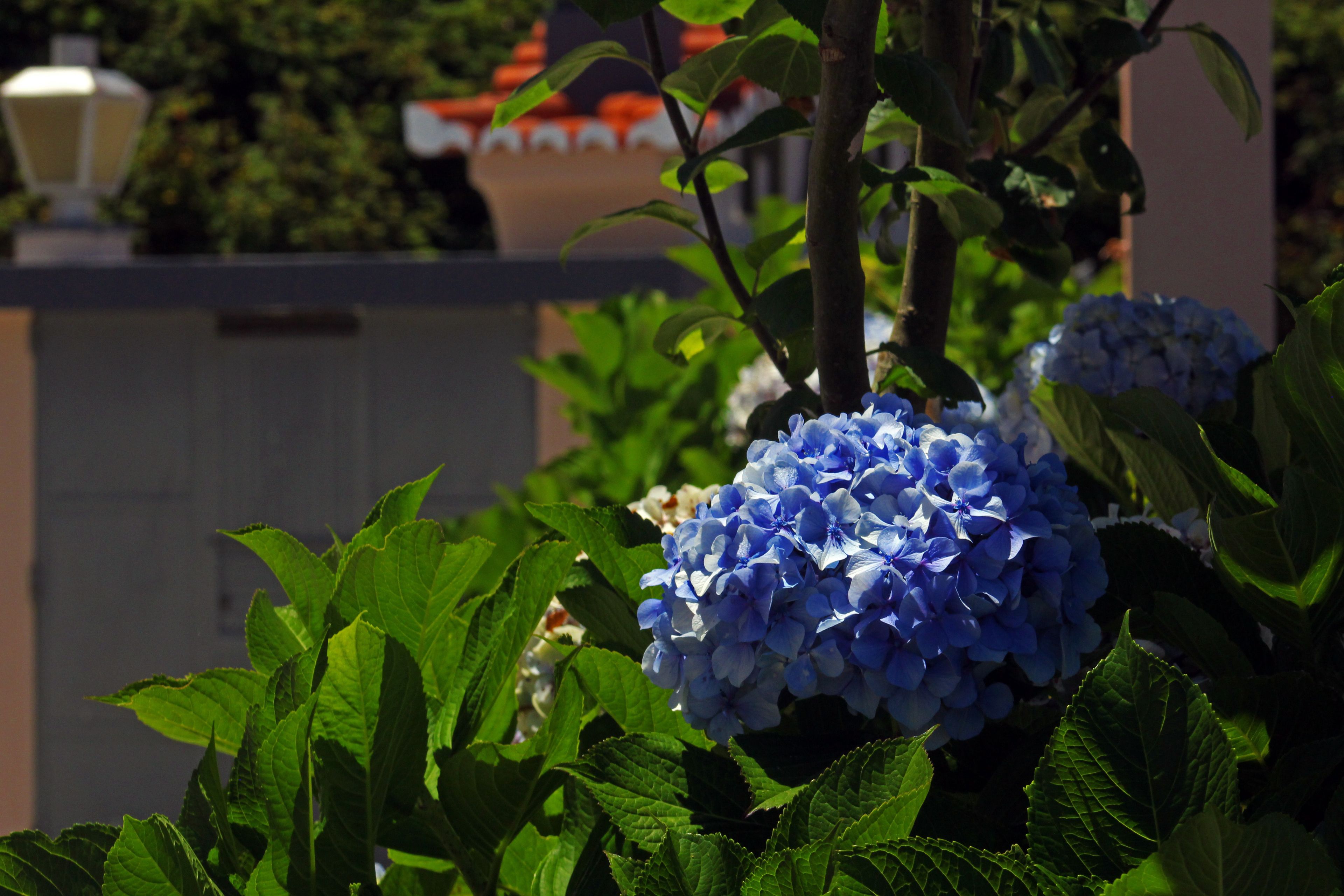 Os Manos Rural Lodging