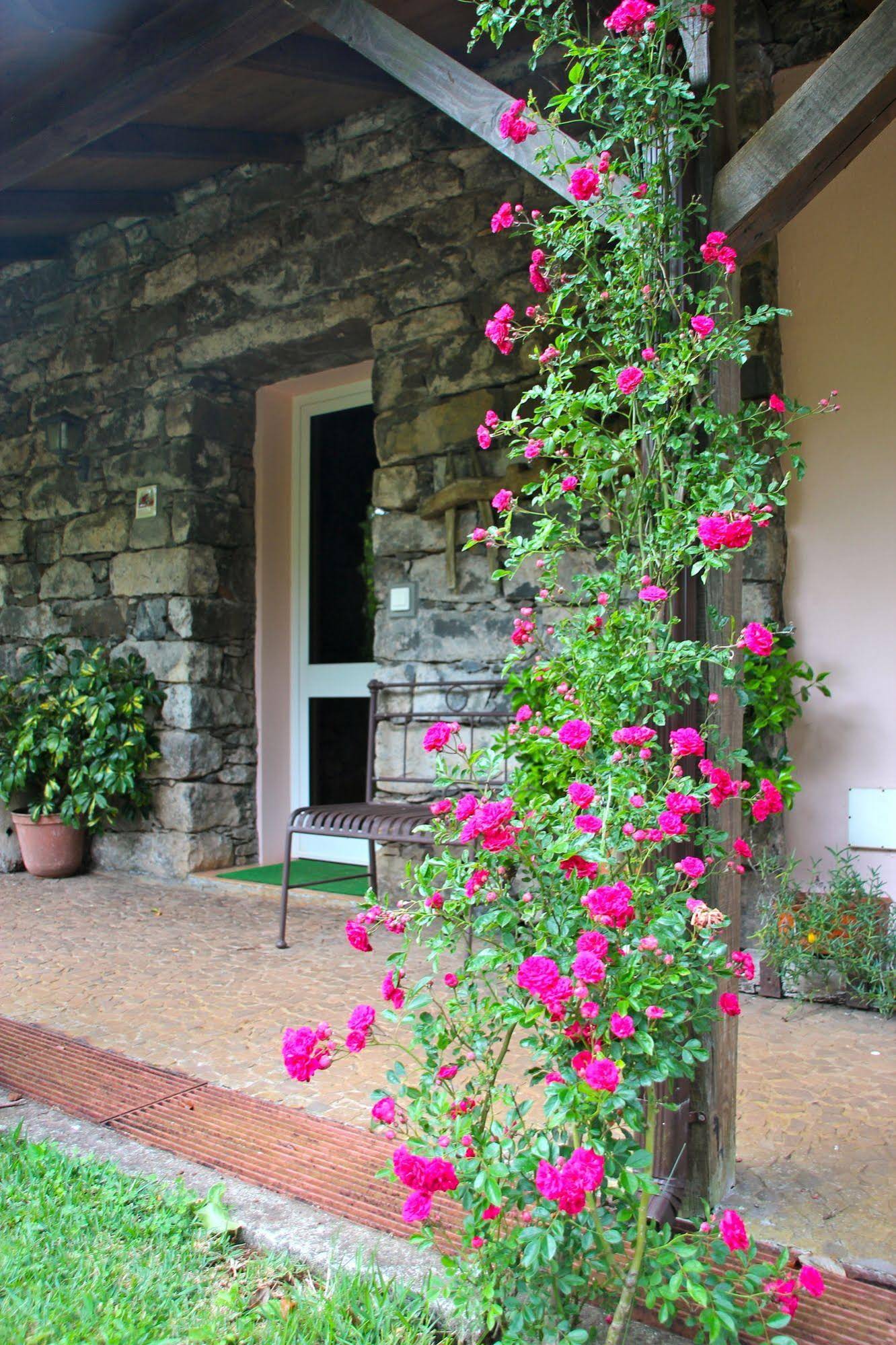 Quinta do Pântano