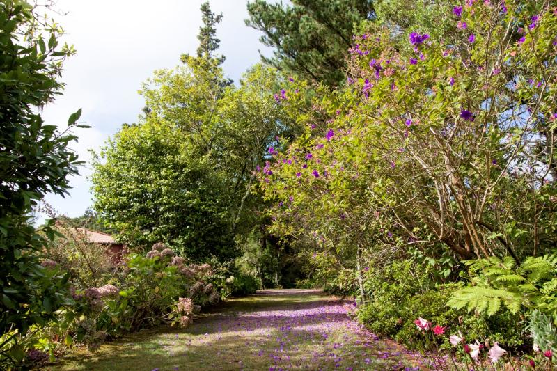 Quinta de Santo Antonio Da Serra
