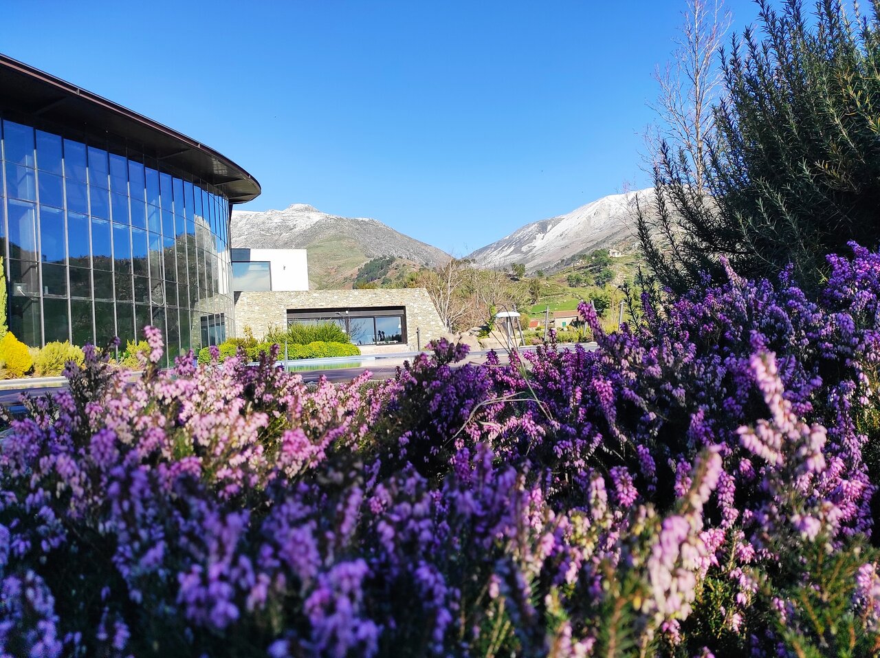 H2otel Congress & Medical Spa