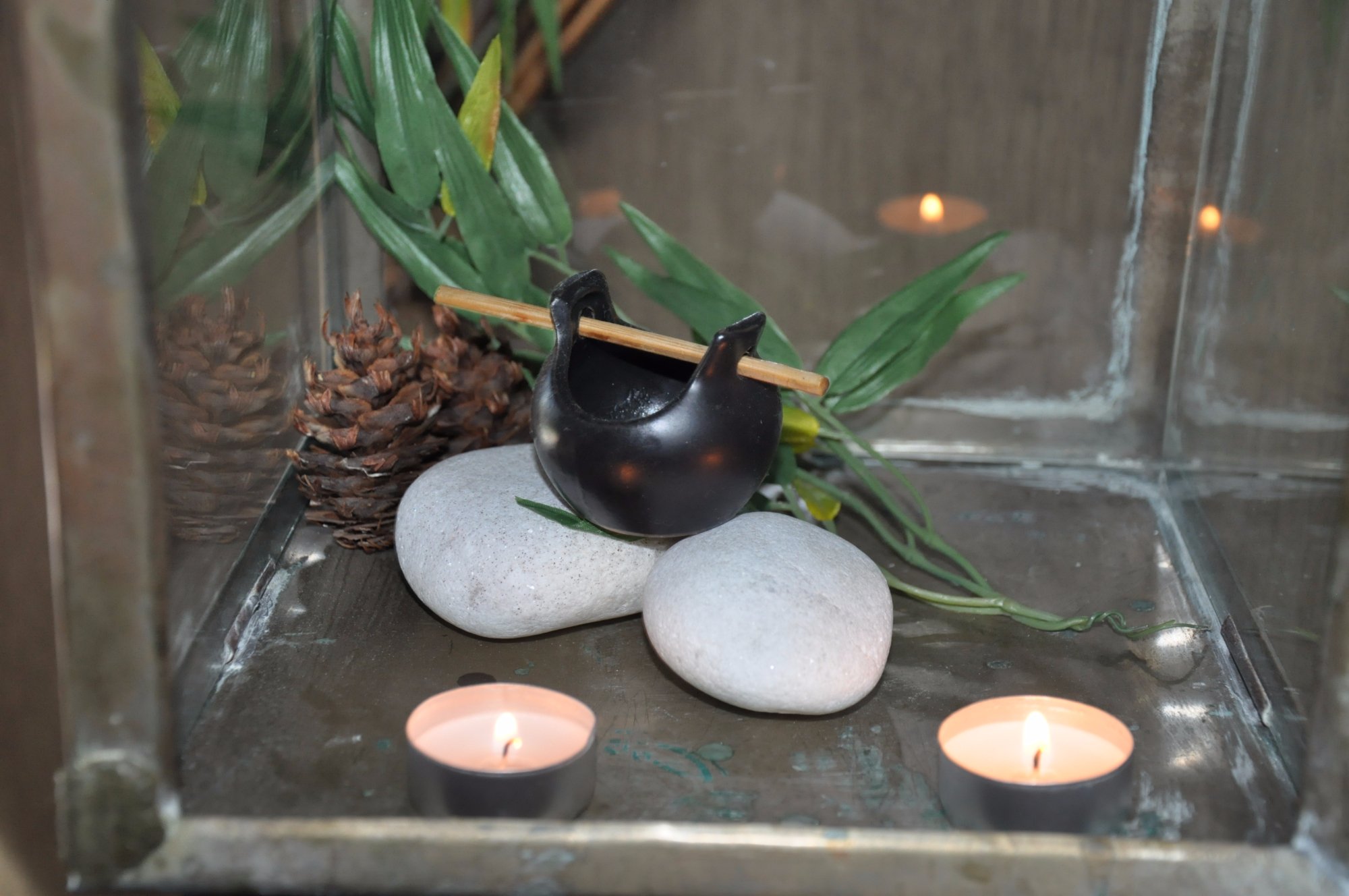 H2otel Congress & Medical Spa
