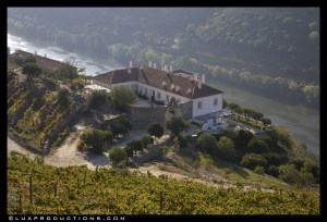 Quinta da Romaneira