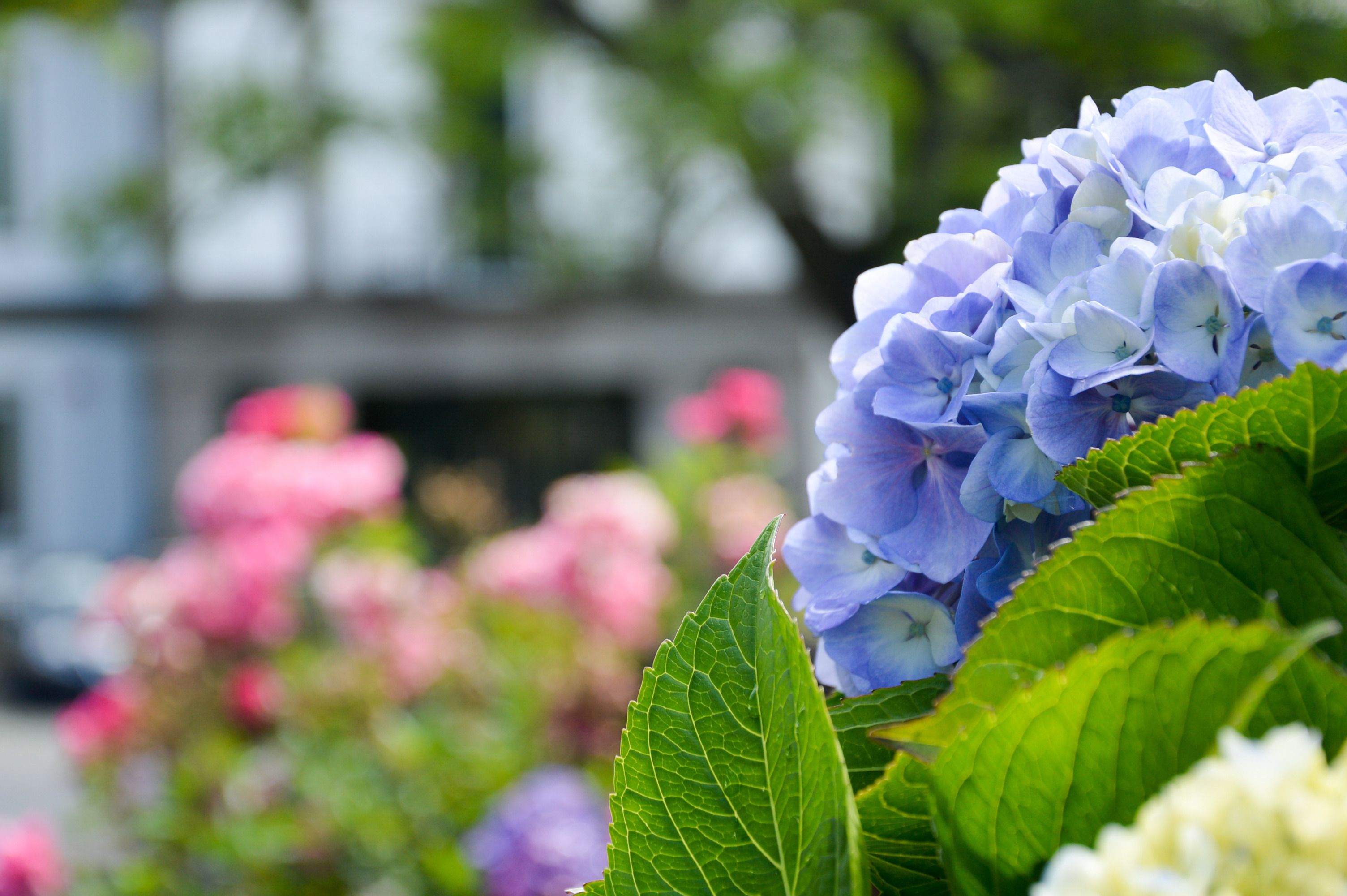 Octant Hotels Furnas