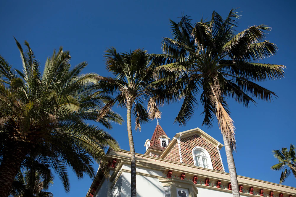 Casa das Palmeiras Charming House