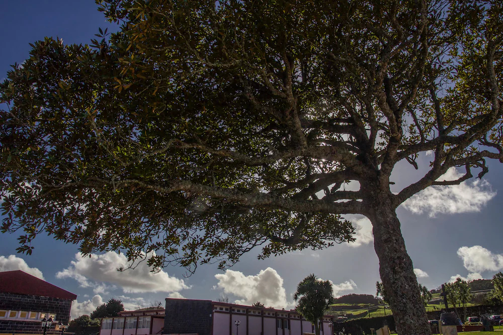 Quinta Do Norte