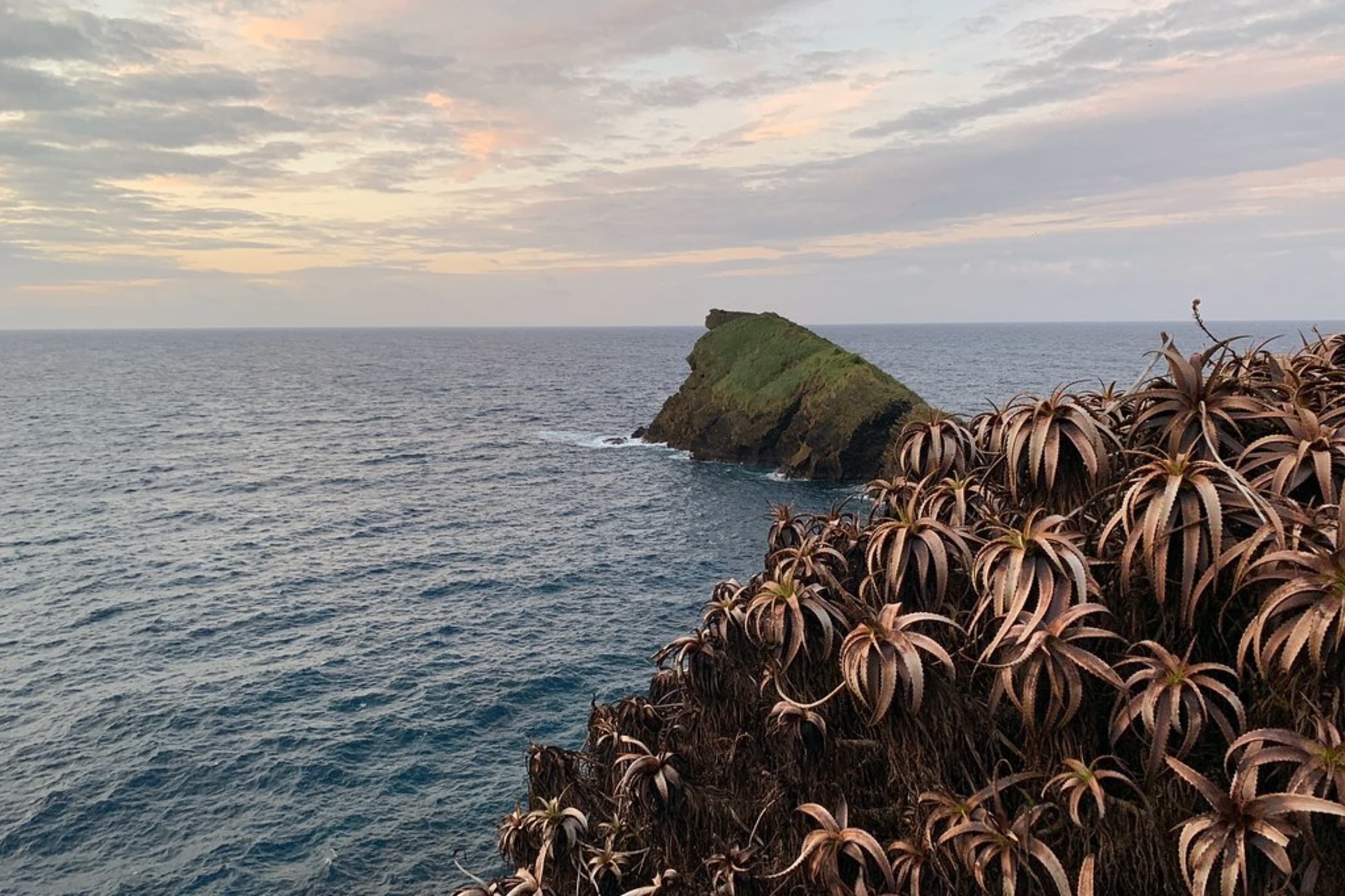 Welcomebuddy - Casa Ilheu De Sao Roque