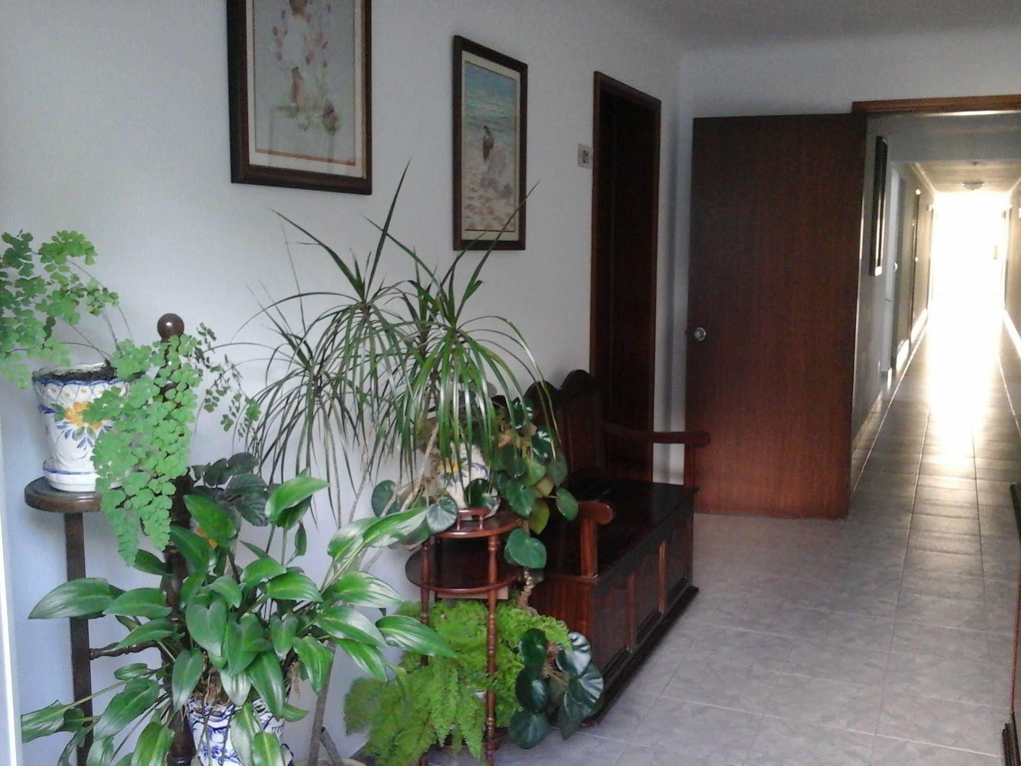 Hotel Branco II