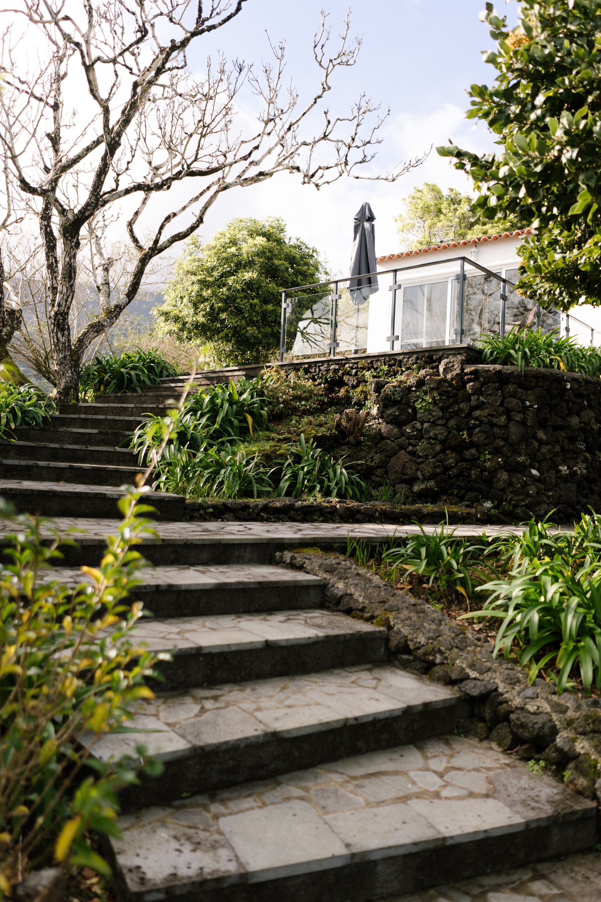 Adegas do Pico