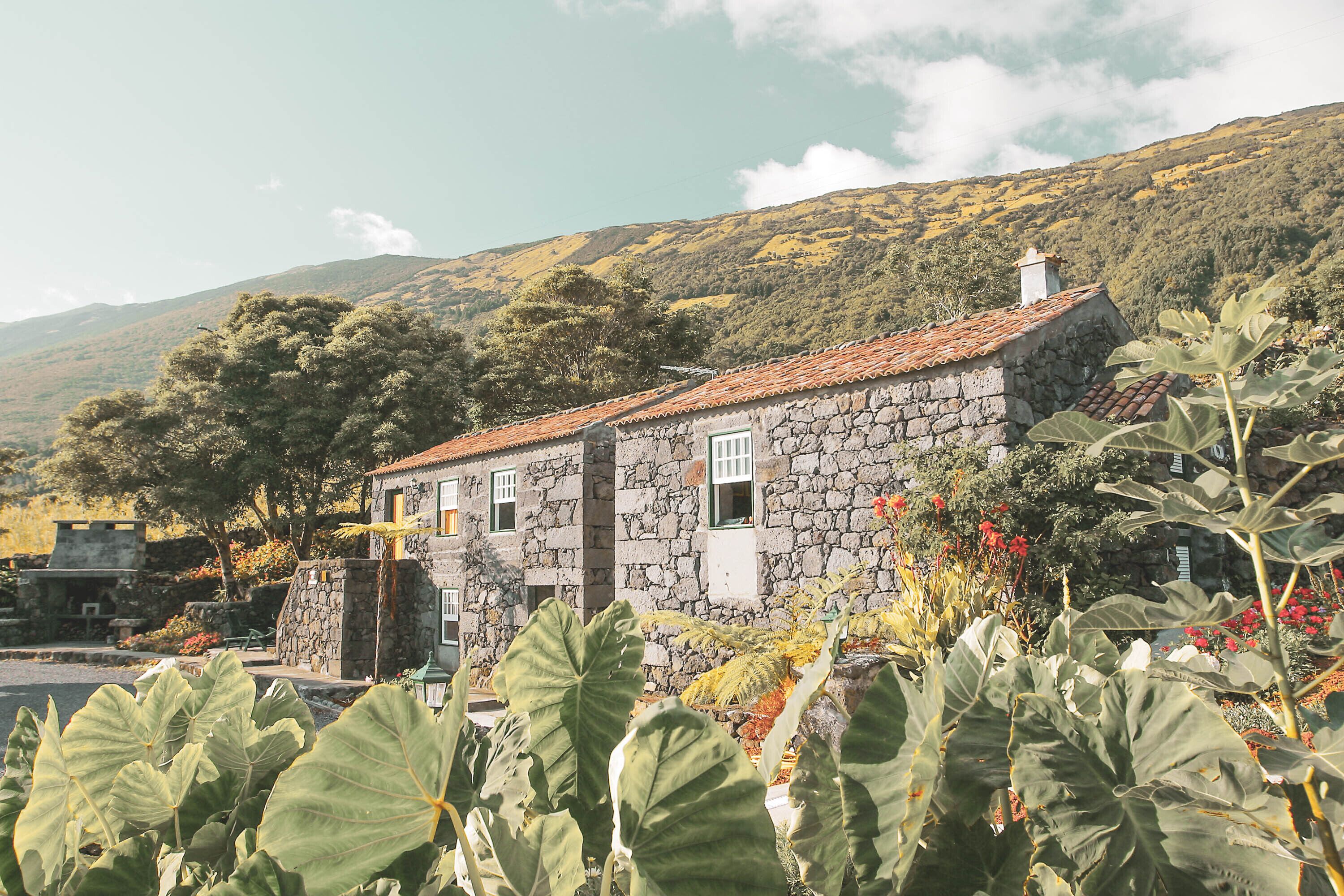 Adegas do Pico