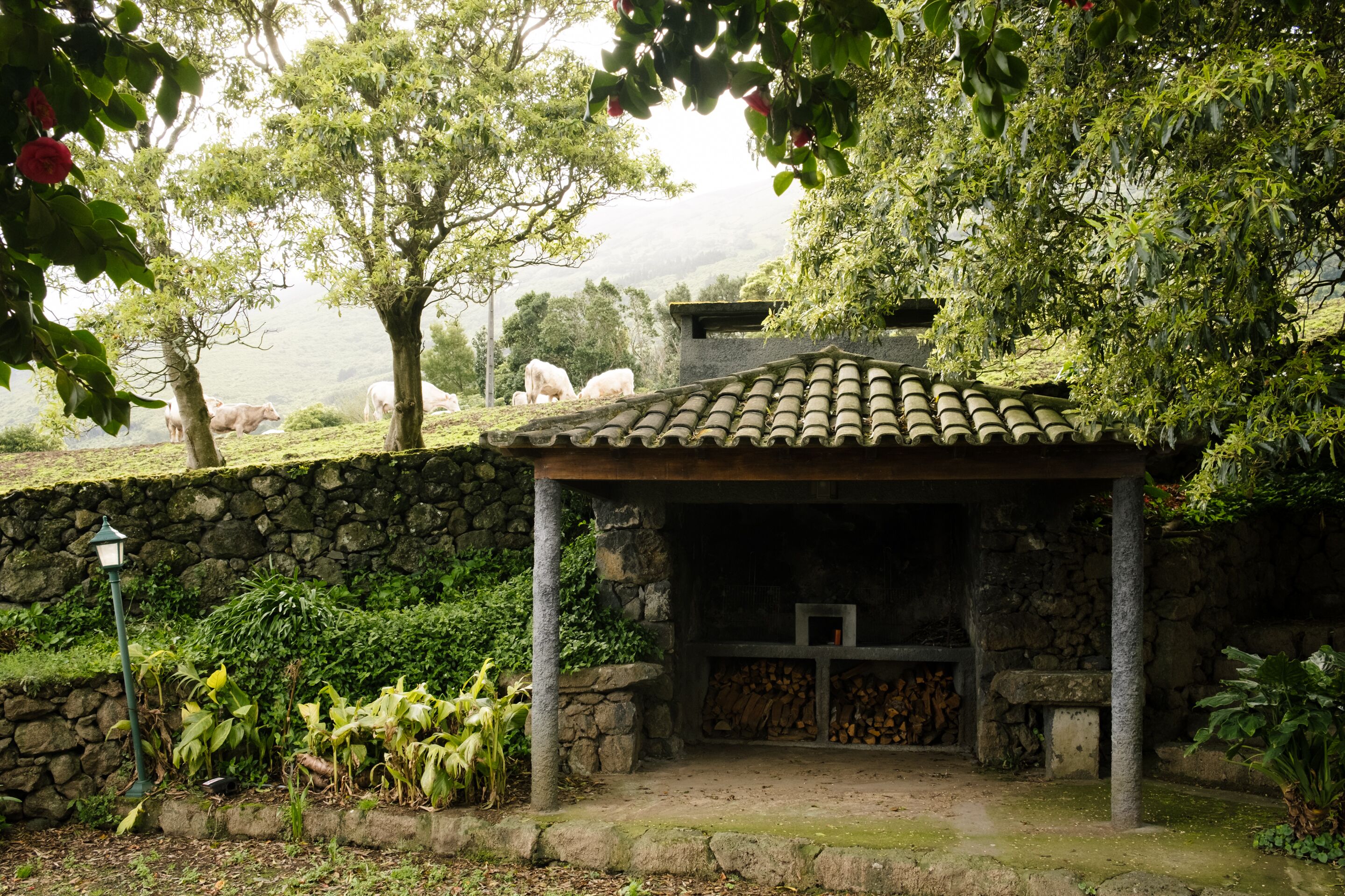 Adegas do Pico