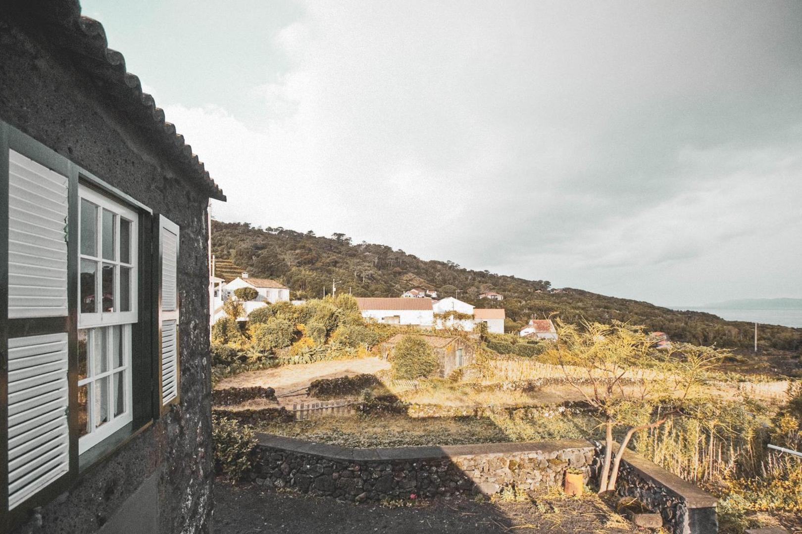 Adegas do Pico