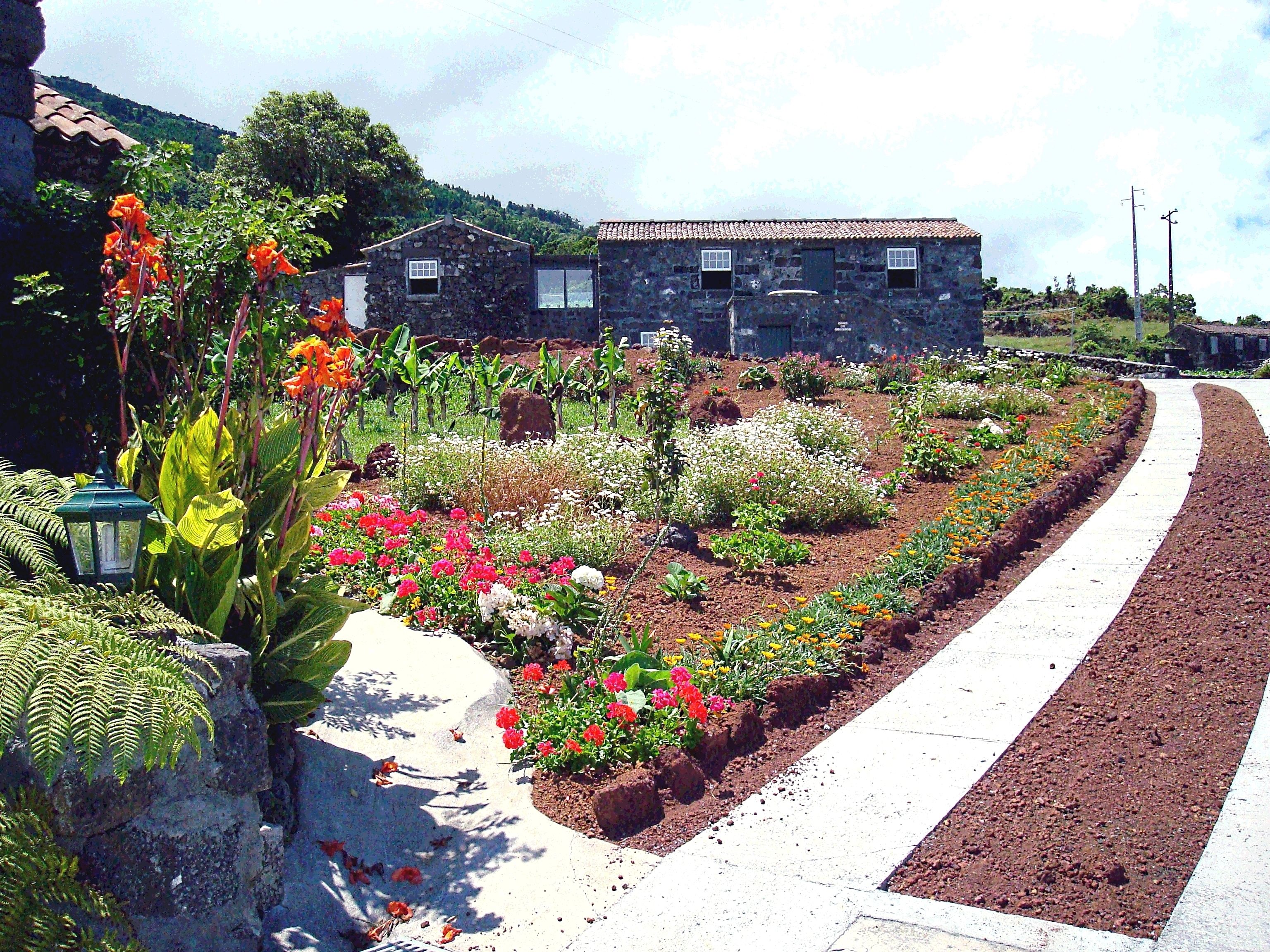 Adegas do Pico