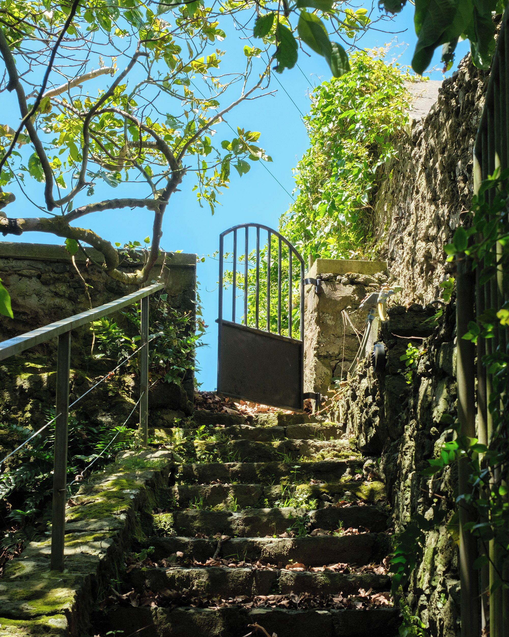 Quinta Morazes Casa de Campo