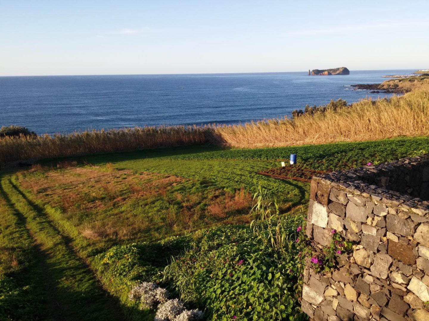 QVA - Quinta Velha das Amoreiras