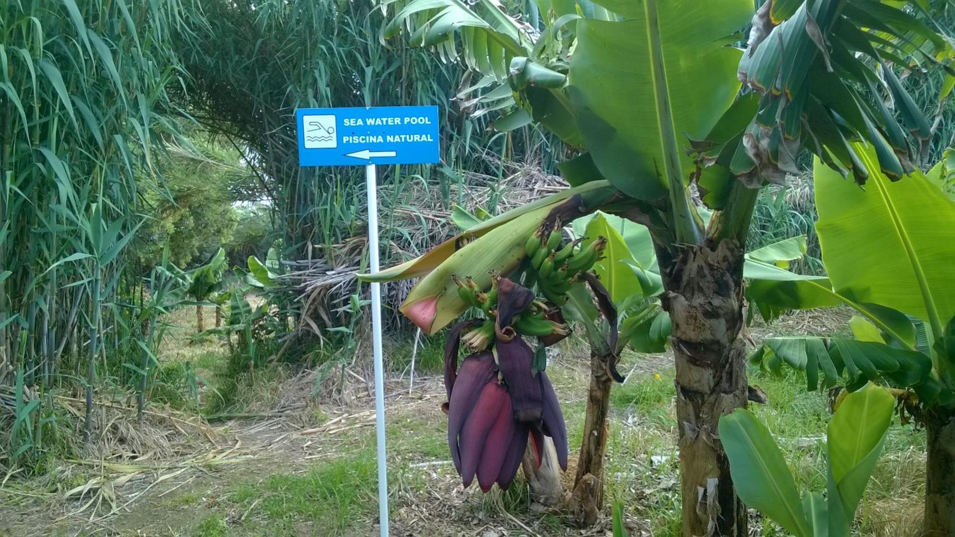 QVA - Quinta Velha das Amoreiras