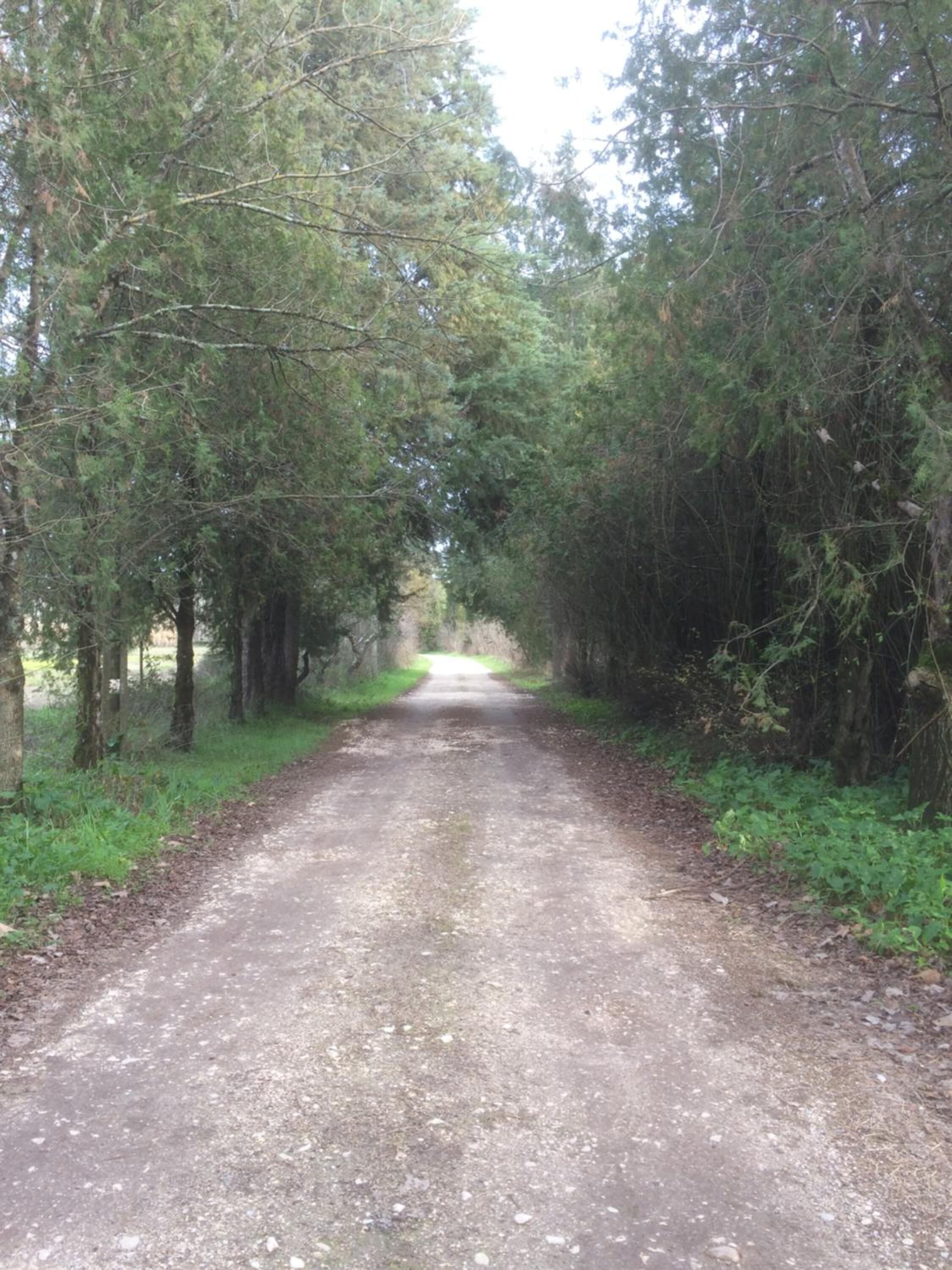 Quinta de Coalhos