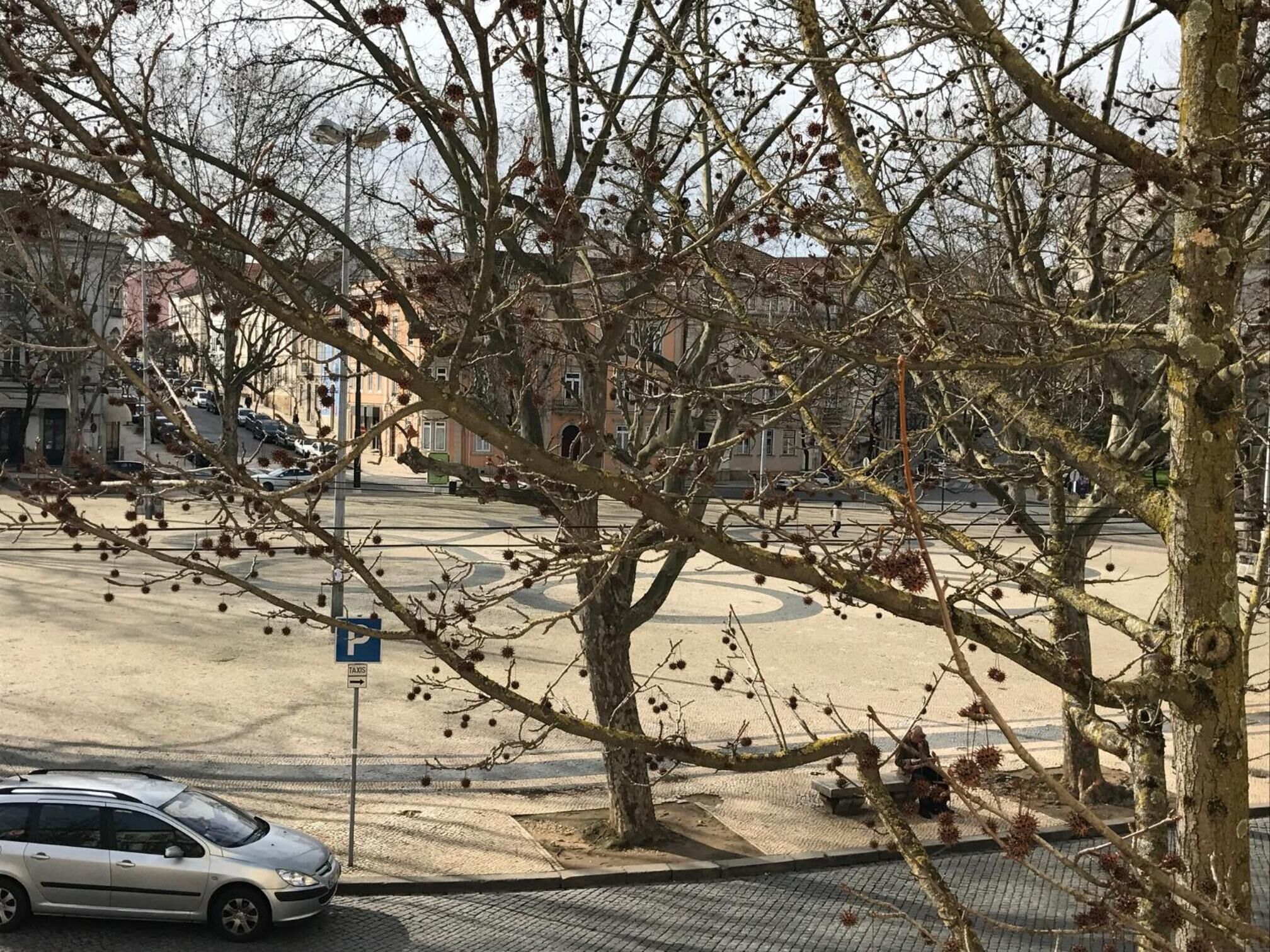 Casa da Praça Square Suites