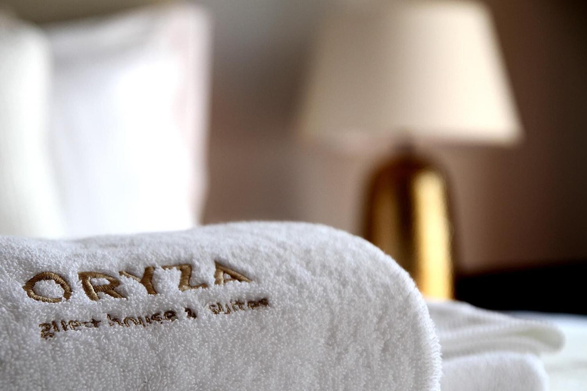 Oryza Guest House & Suites