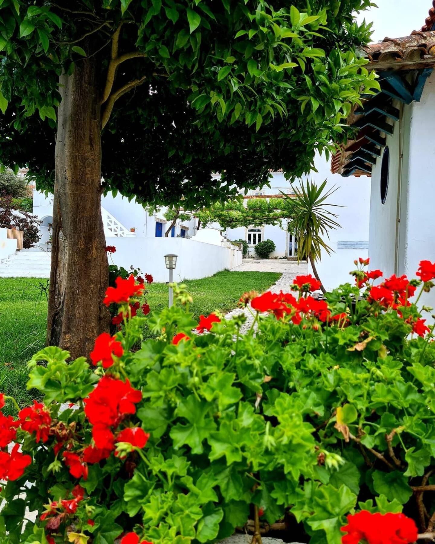 Oryza Guest House & Suites