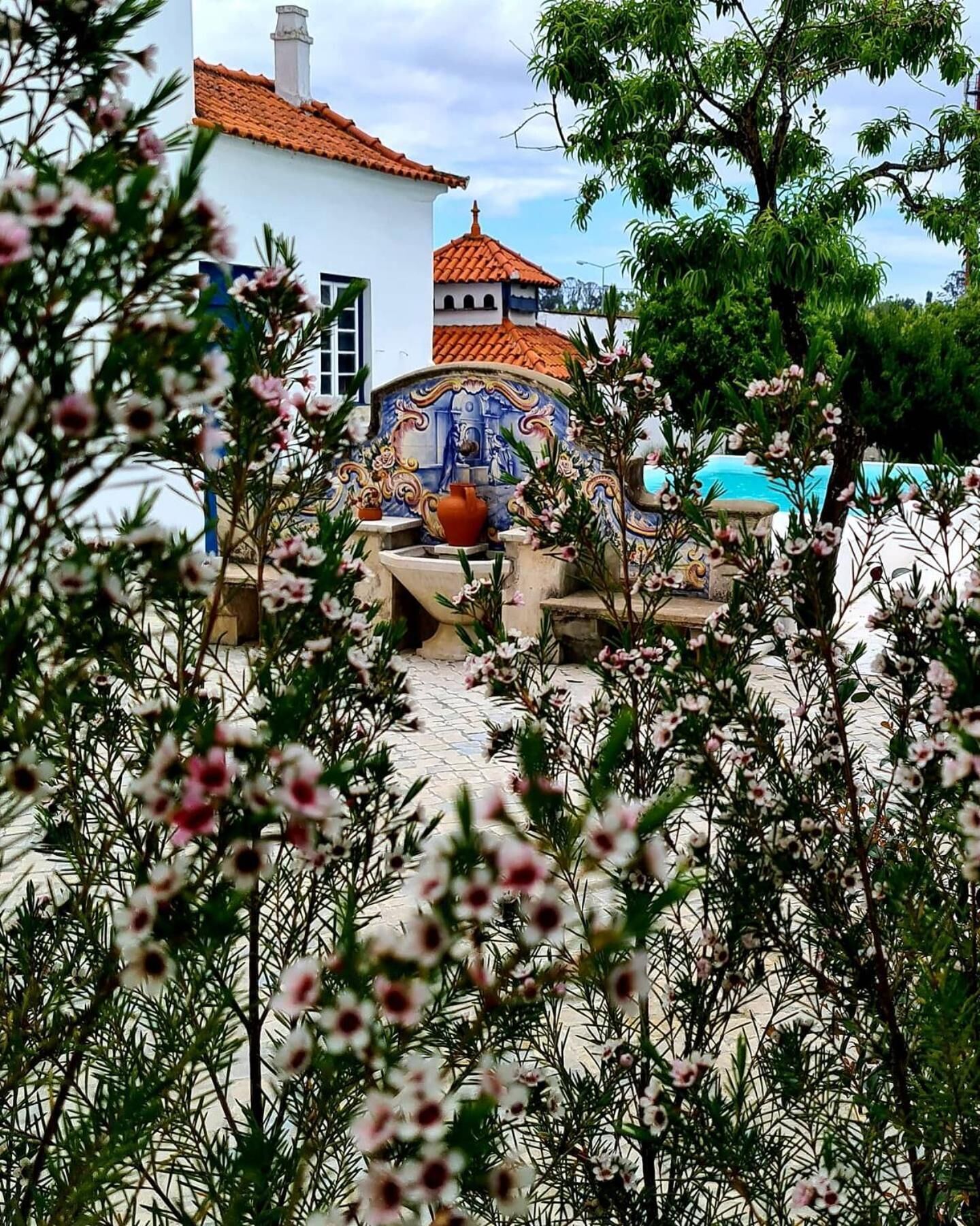 Oryza Guest House & Suites