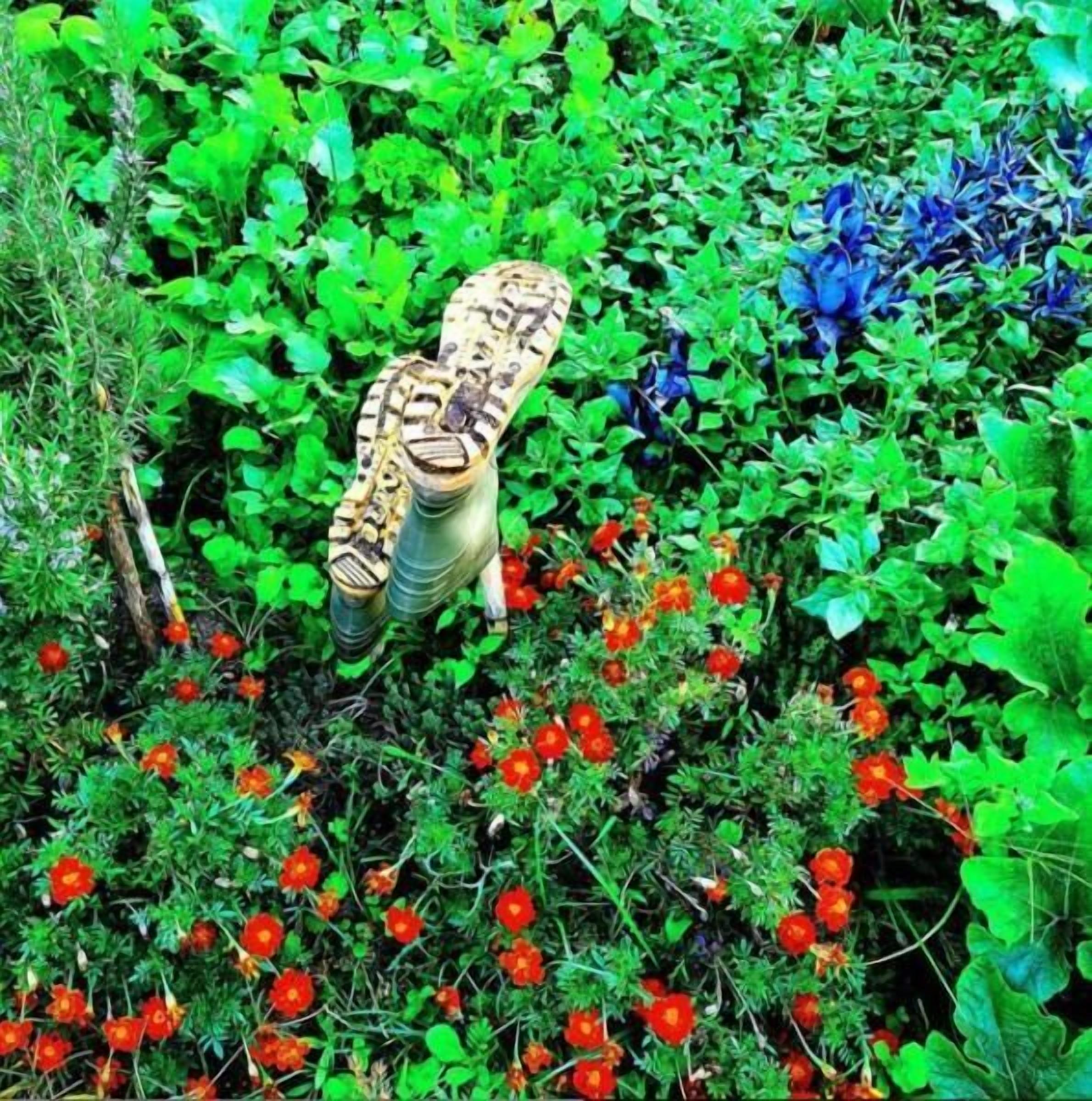 Oryza Guest House & Suites