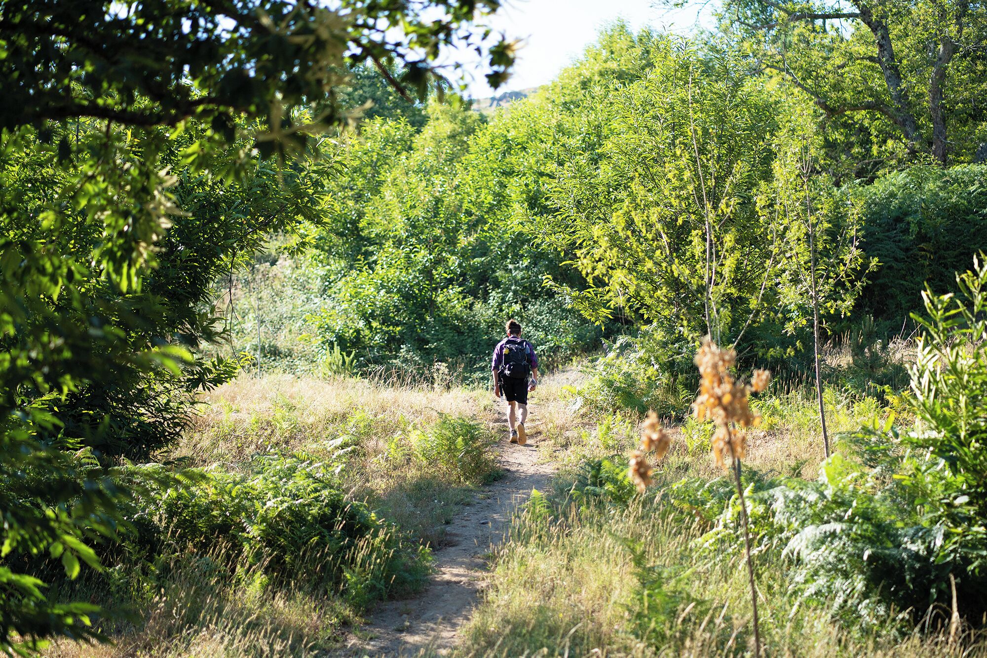 Estrela Serenity Resort