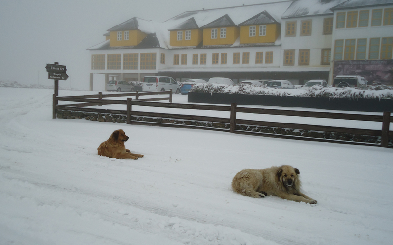 Luna Hotel Serra da Estrela
