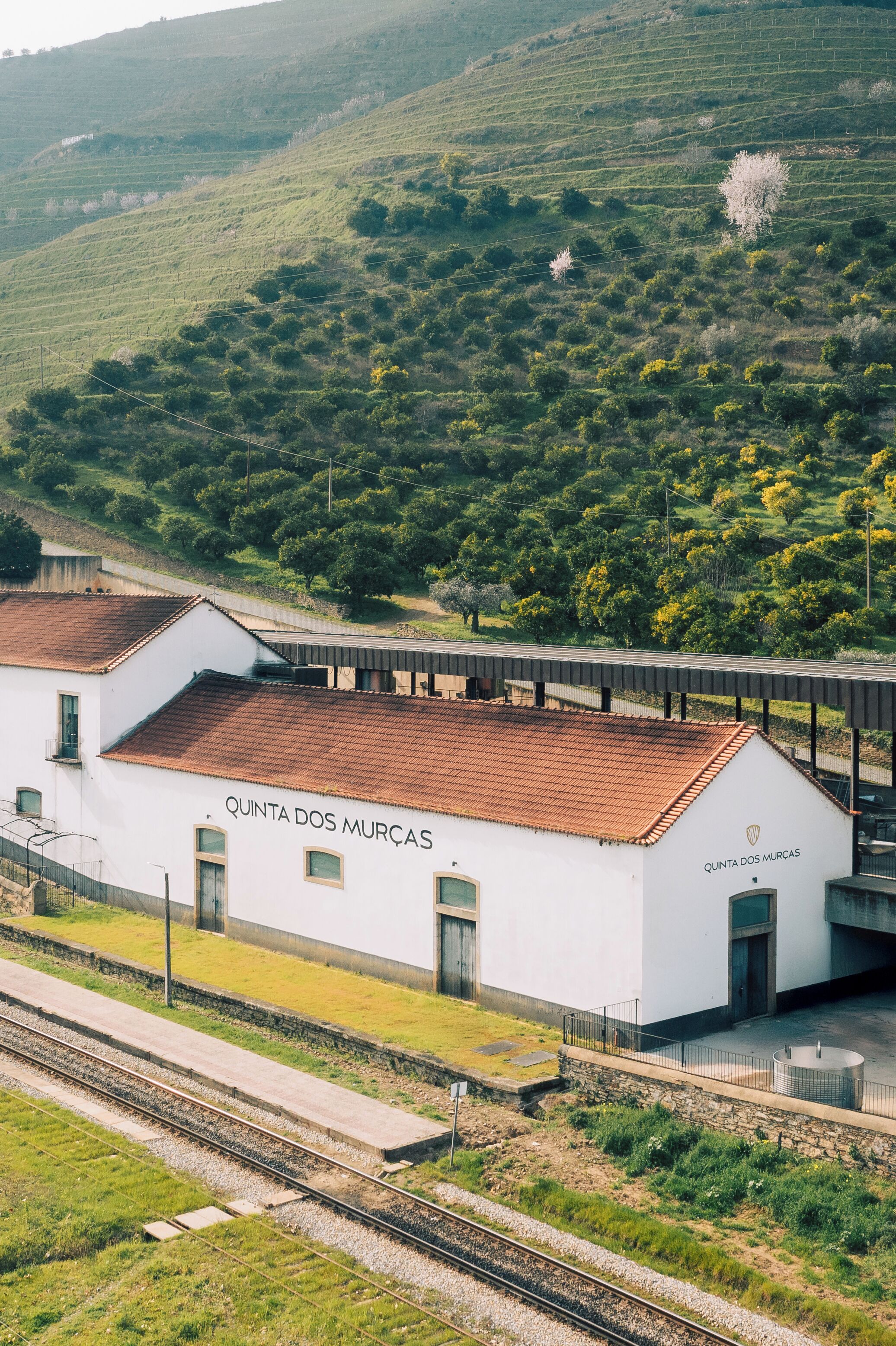 Quinta Dos Murças